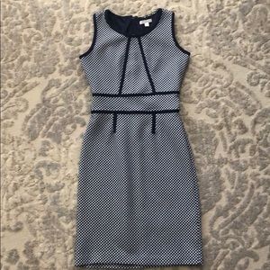 New York & Company Blue/Navy dotted dress